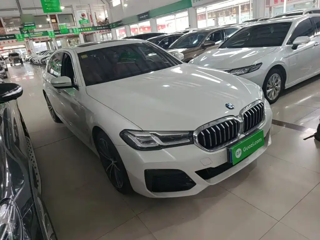 BMW 5 Series — миниатюра 4