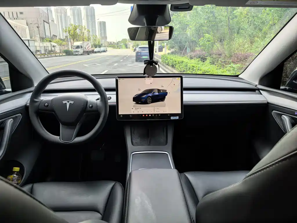 Tesla Model Y — миниатюра 4