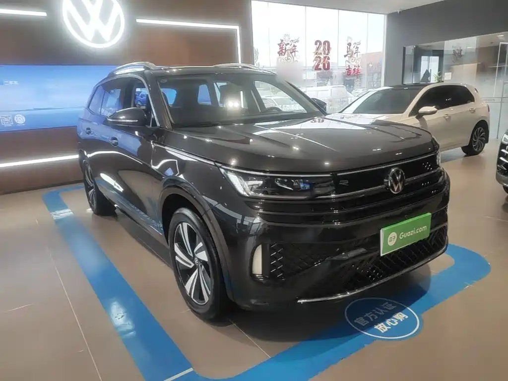 Volkswagen Tavendor — миниатюра 4