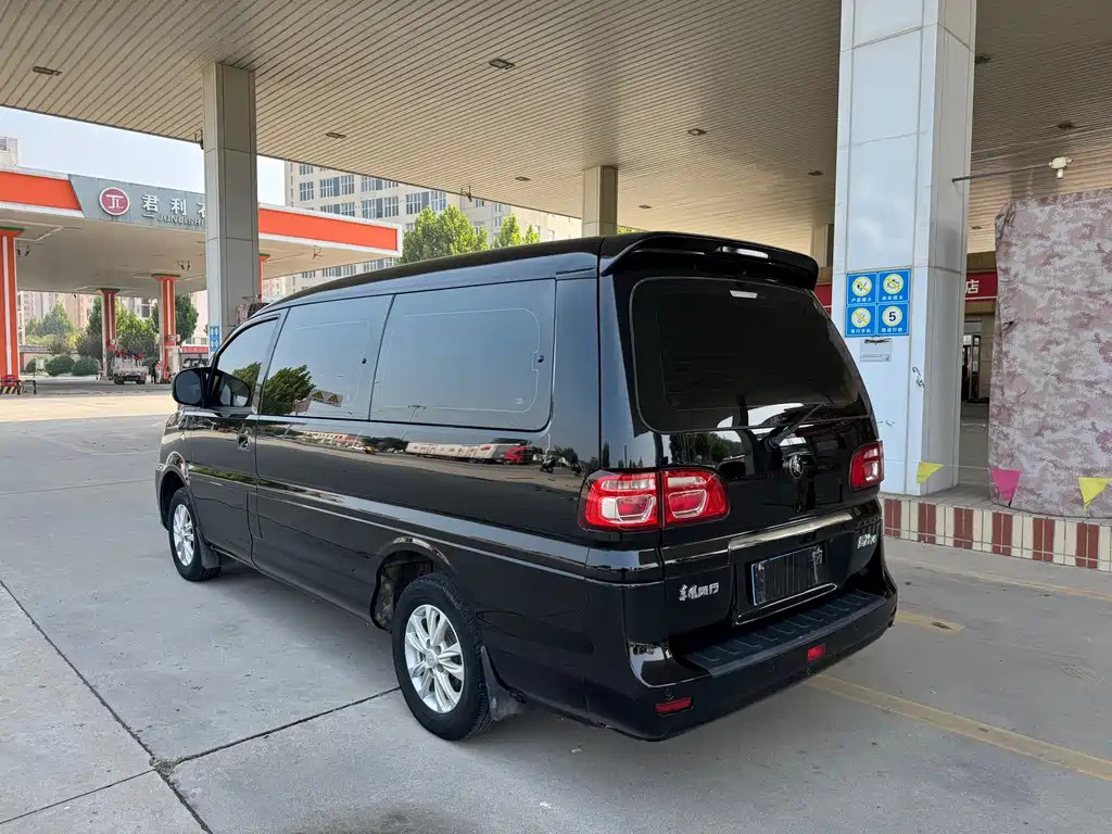 Fengxing Lingzhi — миниатюра 10
