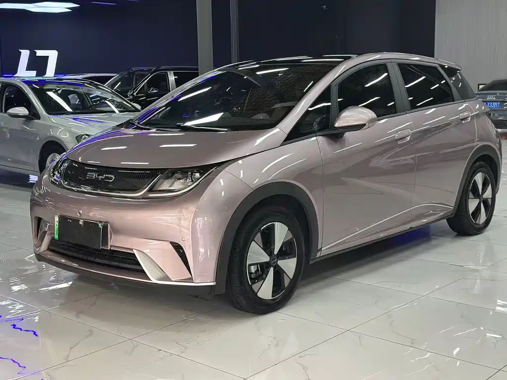 BYD Dolphin — миниатюра 2