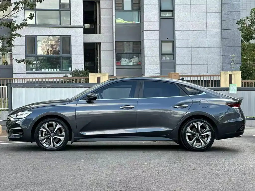 Hyundai Fista — миниатюра 3