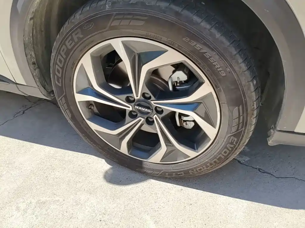 Haval Xiaolong MAX — миниатюра 12