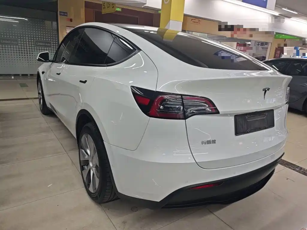 Tesla Model Y — миниатюра 5