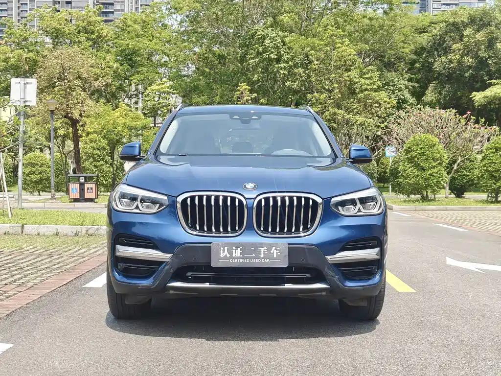 BMW X3 2020 xDrive25i Luxury