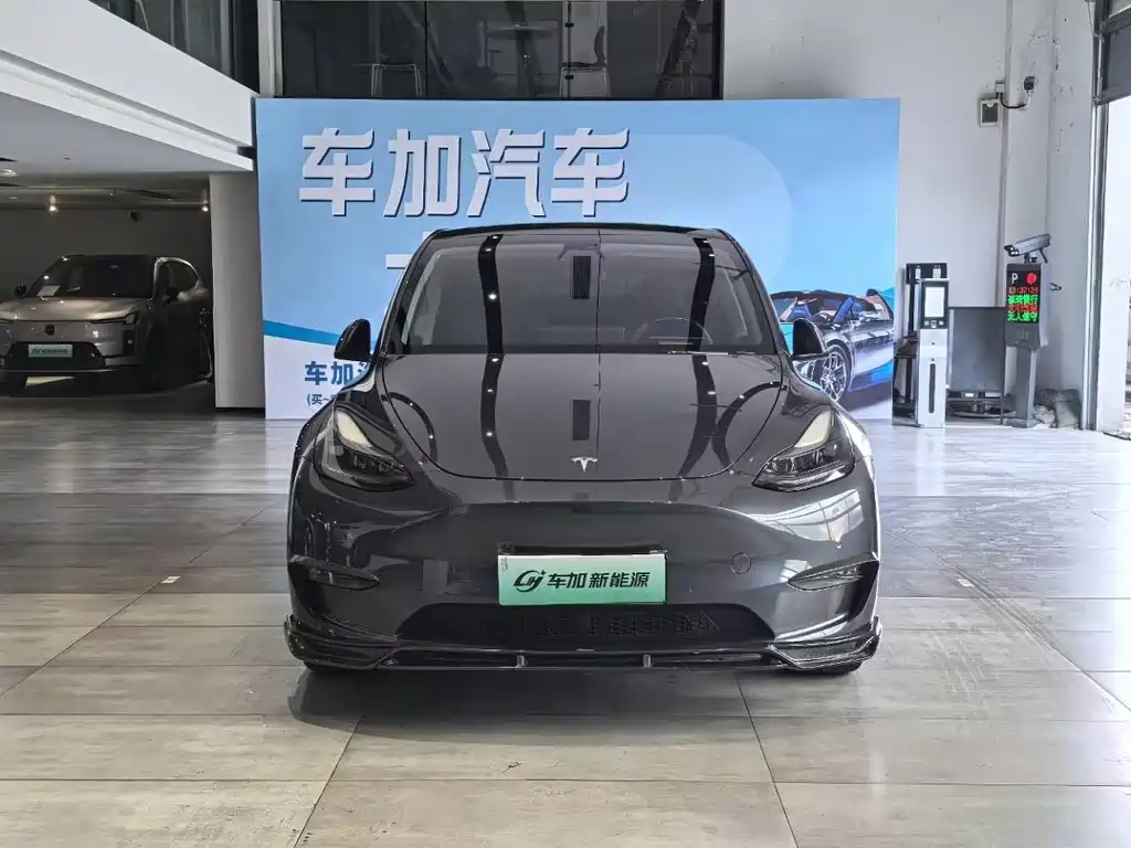 Tesla Model Y — миниатюра 2