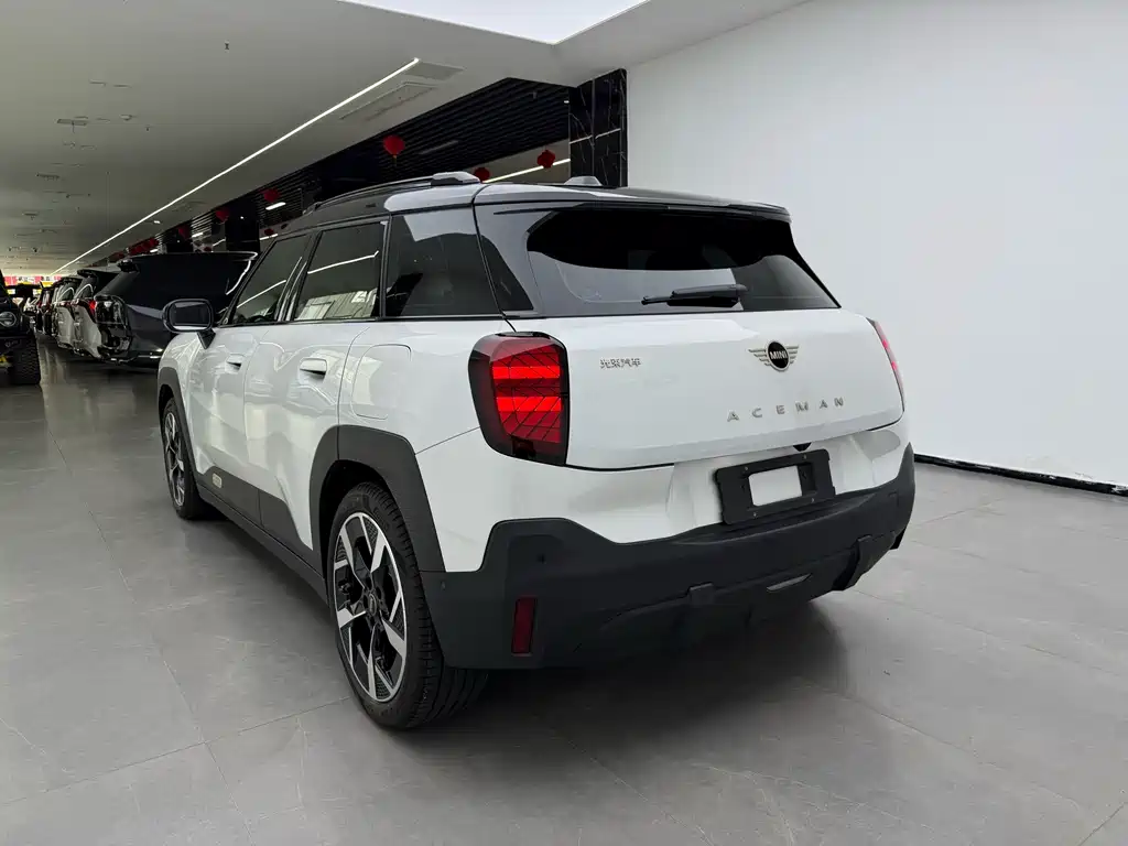 MINI MINI ACEMAN EV — миниатюра 4