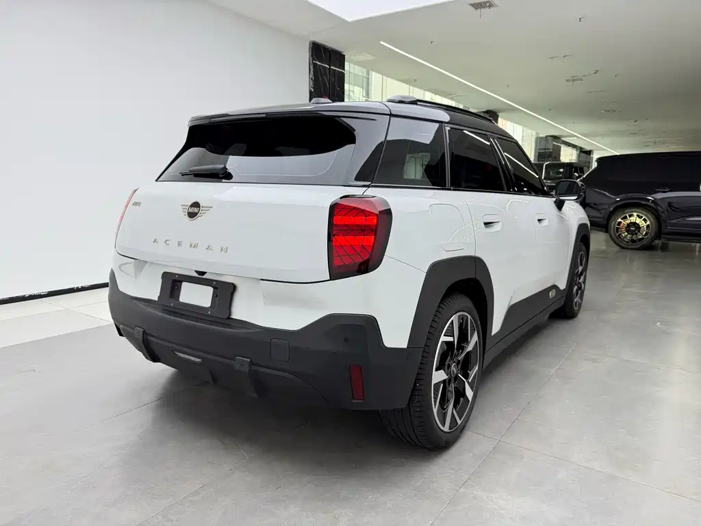 MINI MINI ACEMAN EV — миниатюра 3