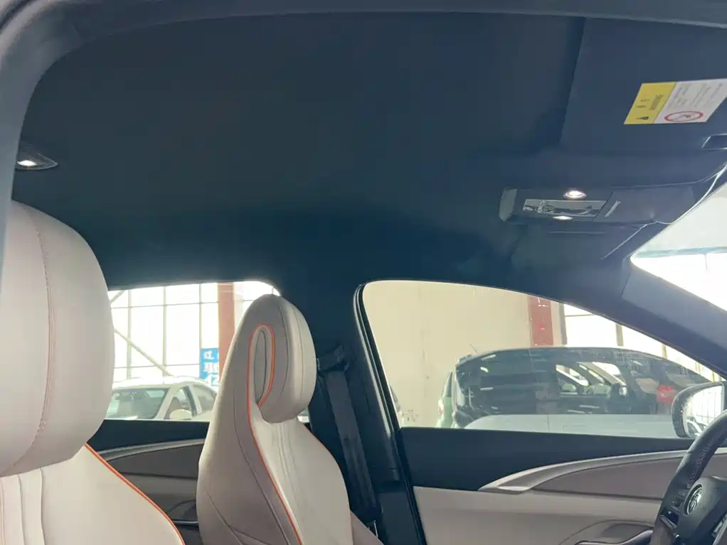 BYD Pro New Energy — миниатюра 16