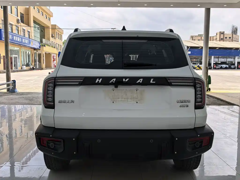 Haval Dargo 2.0T DCT 4WD Xiaotian Dog Edition, фото 16
