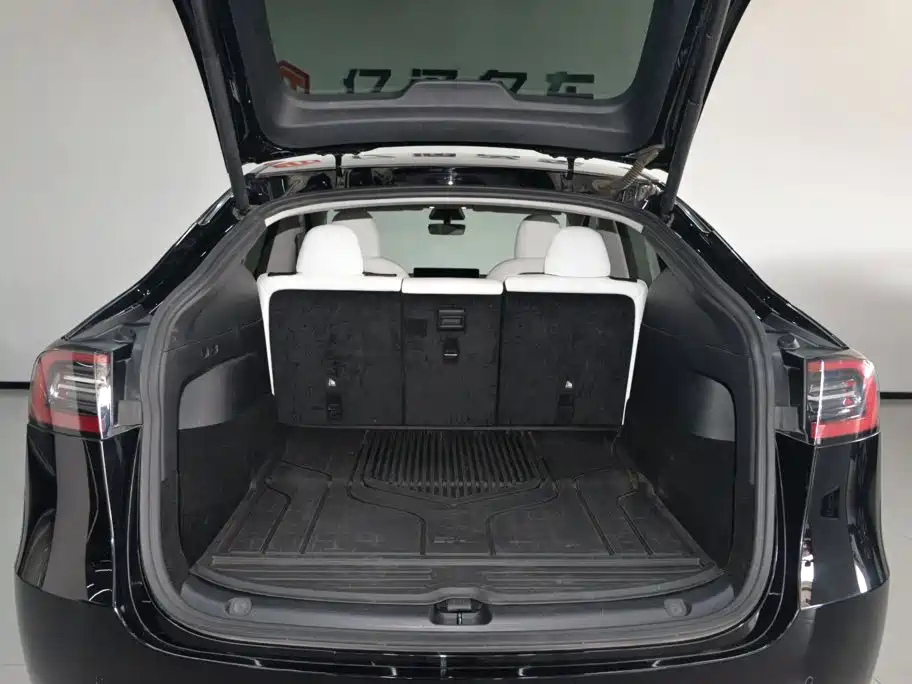 Tesla Model Y — миниатюра 21
