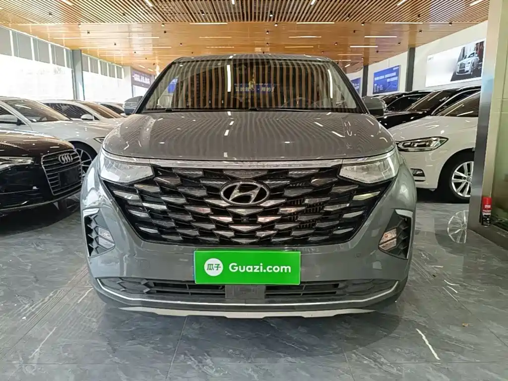 Hyundai Custo — миниатюра 3