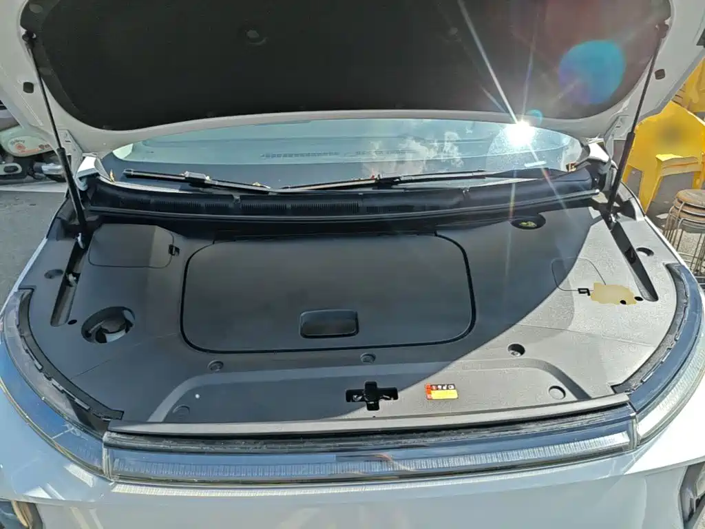 MAXUS Dajia 9 — миниатюра 20