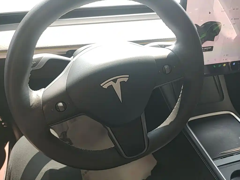 Tesla Model Y — миниатюра 11
