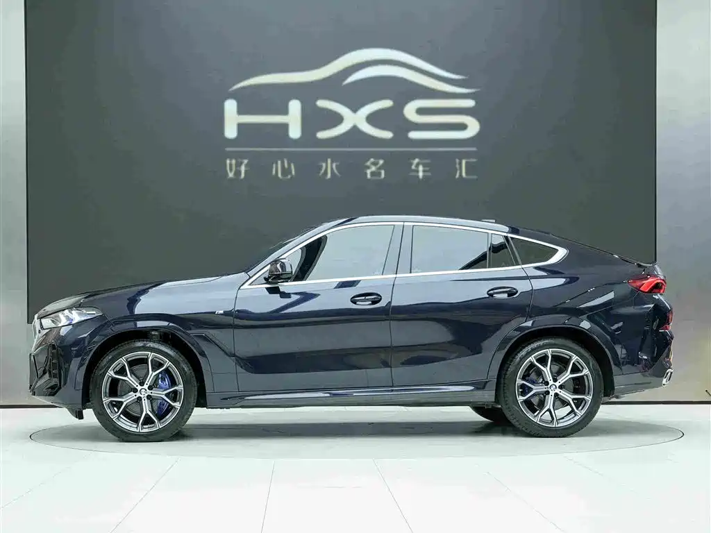 BMW X6 — миниатюра 3