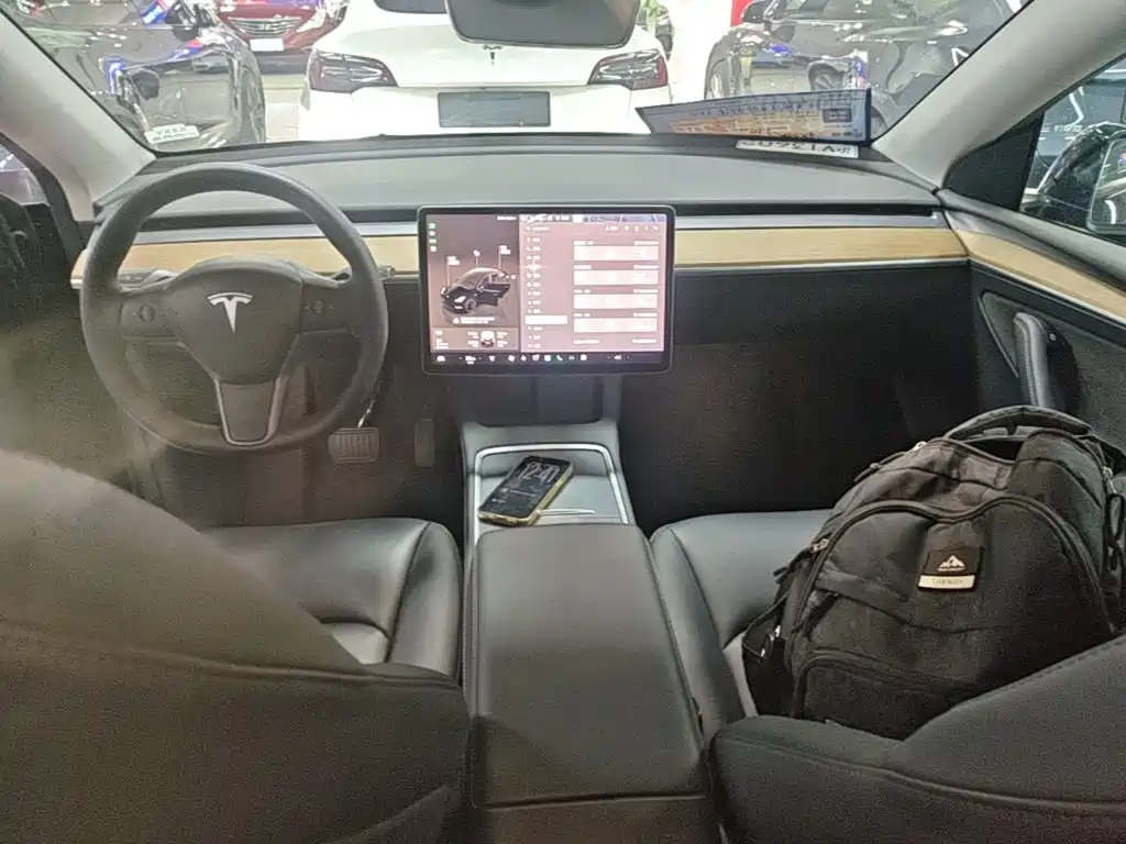 Tesla Model Y — миниатюра 10