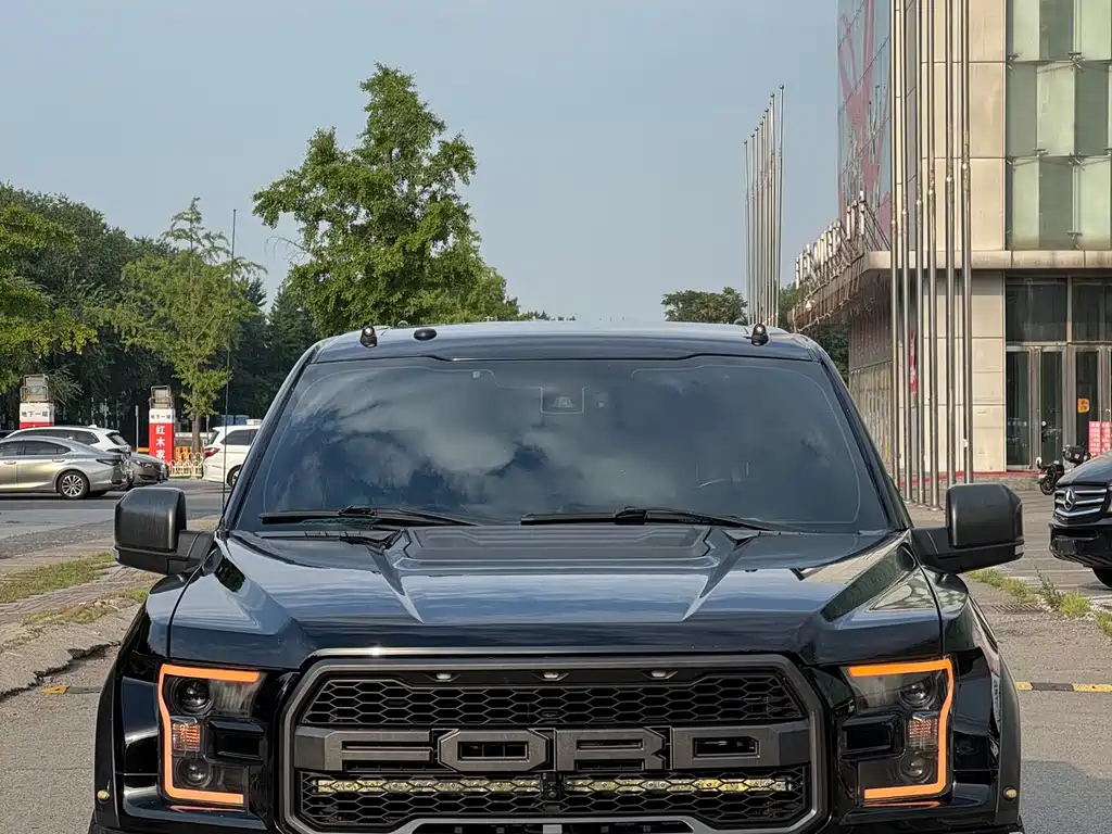 Ford F-150 Raptor — миниатюра 2