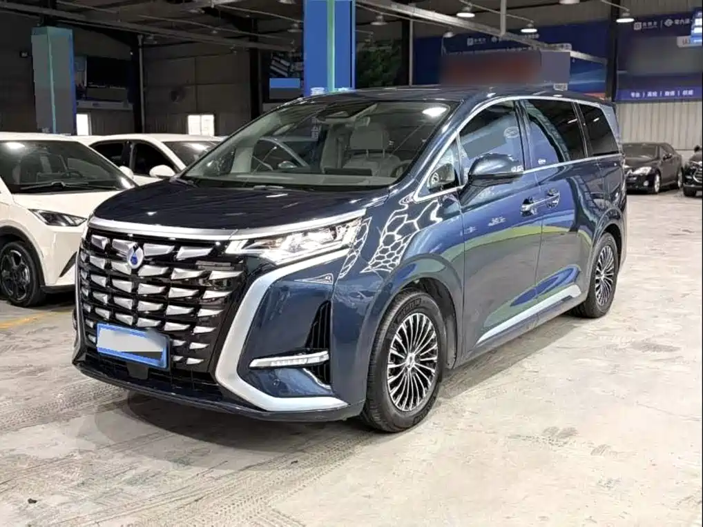 Denza Denza D9 — миниатюра 2