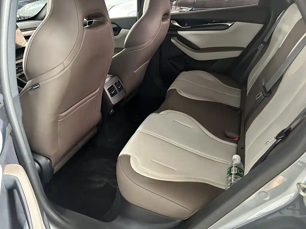BYD Qin Plus PLUS 2023 Champion DM-i 55KM Lead