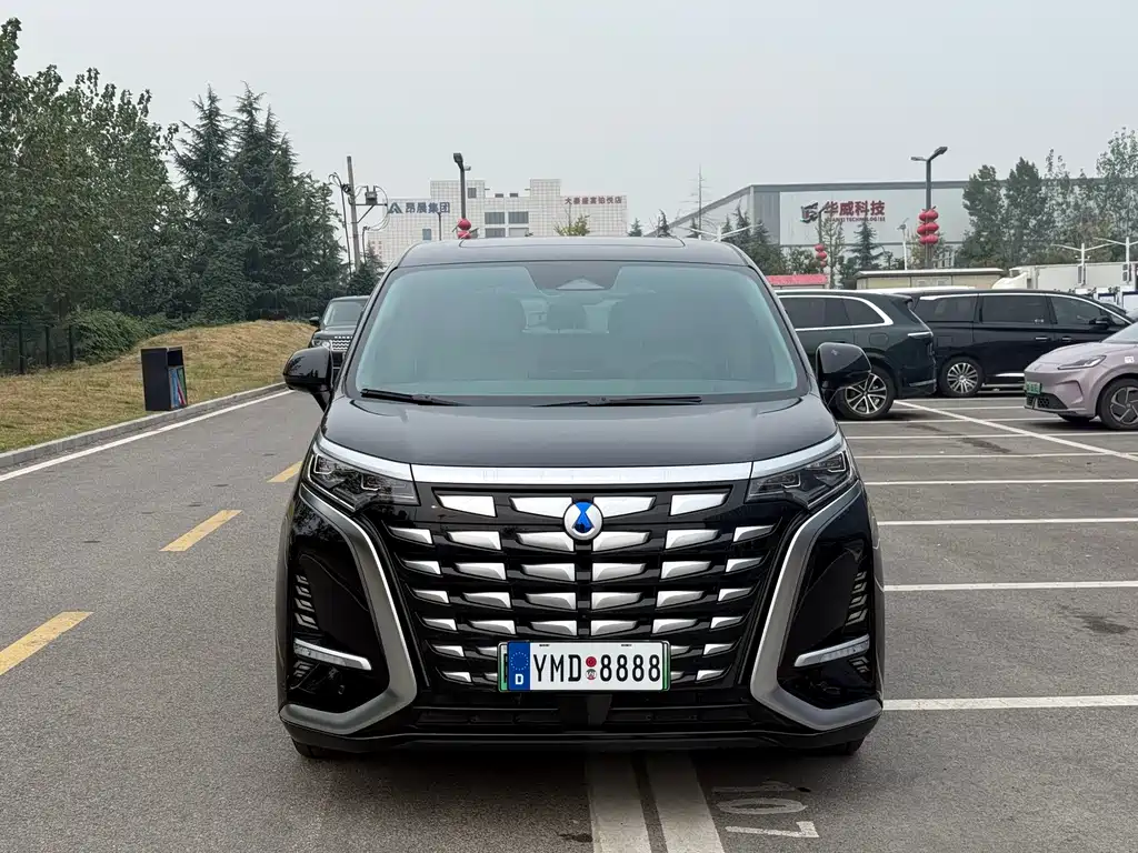 Denza Denza D9 — миниатюра 2