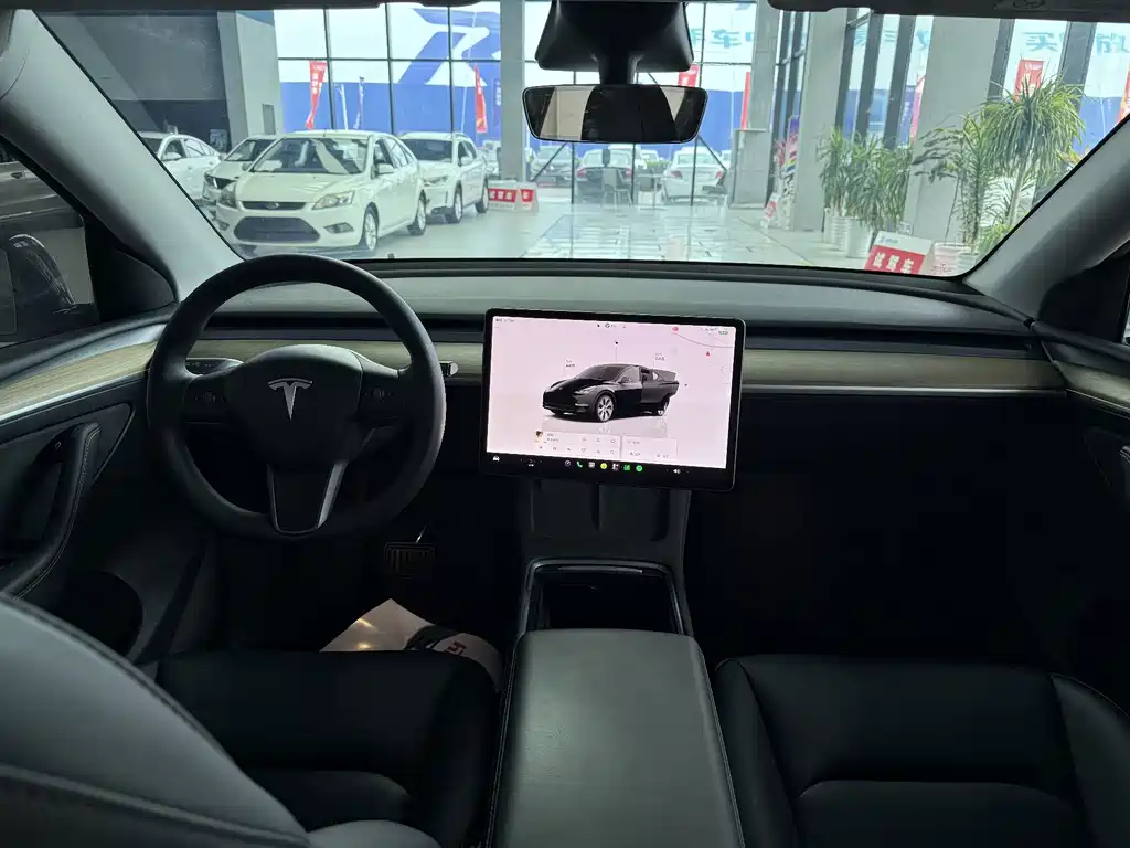 Tesla Model Y — миниатюра 10