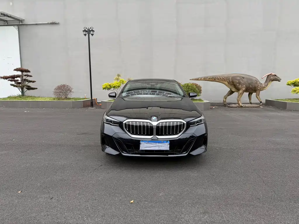 BMW 5 Series — миниатюра 2