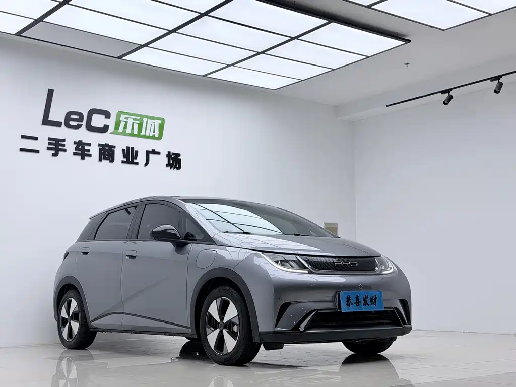 BYD Dolphin — миниатюра 3