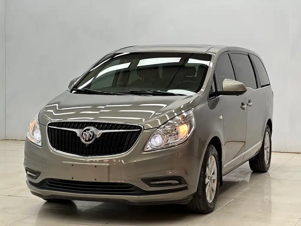 Buick GL8 — миниатюра 11