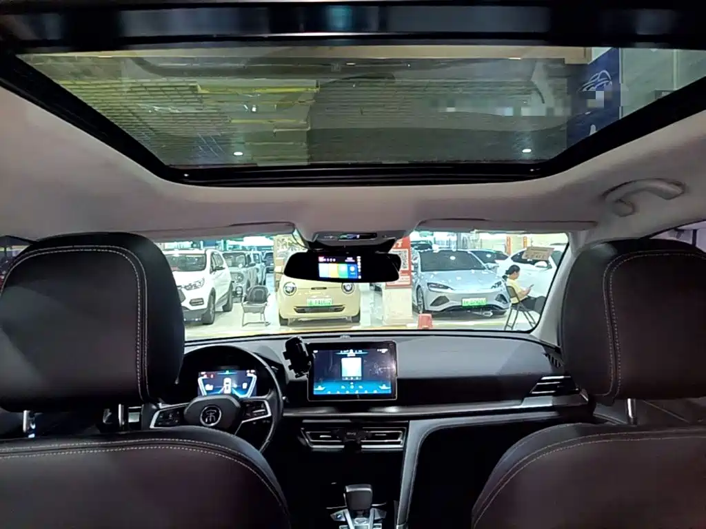 BYD Pro — миниатюра 18