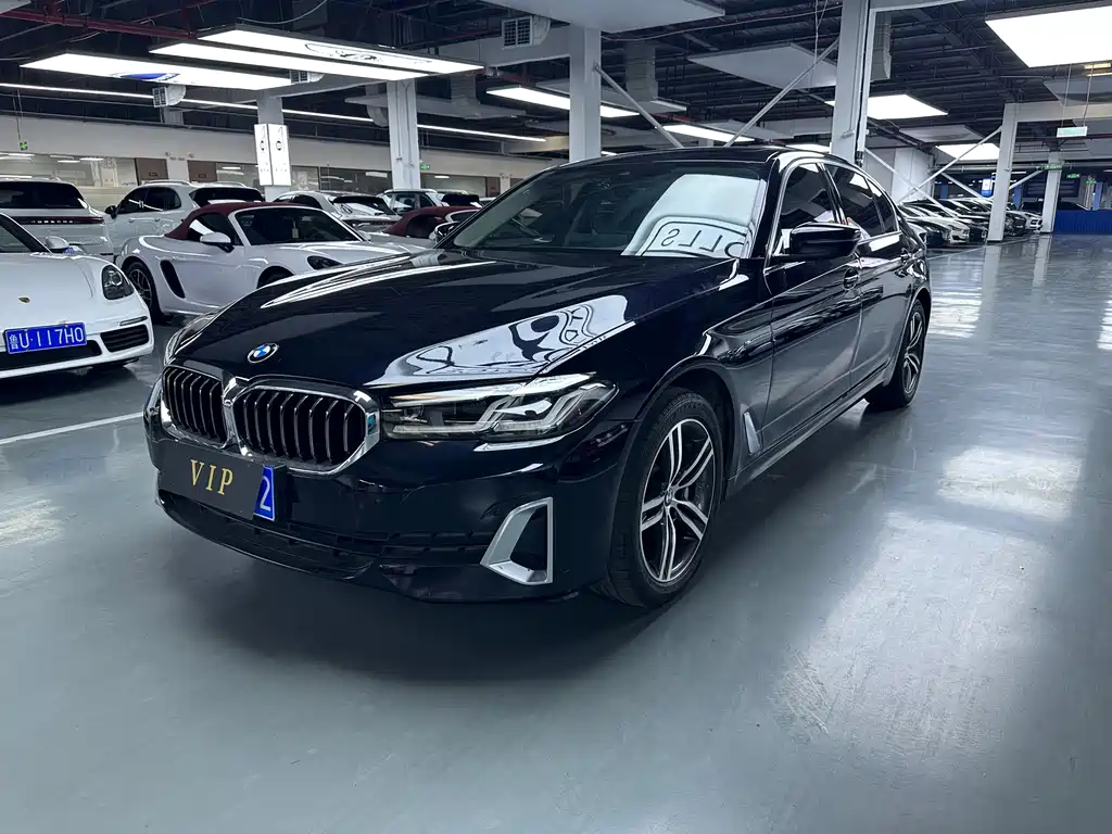 BMW 5 Series 5 2021 530Li Lead Luxury