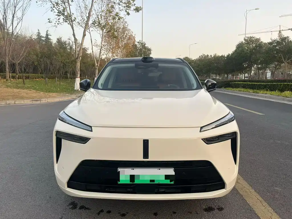 WEI PAI WEI BRAND BLUE MOUNTAIN