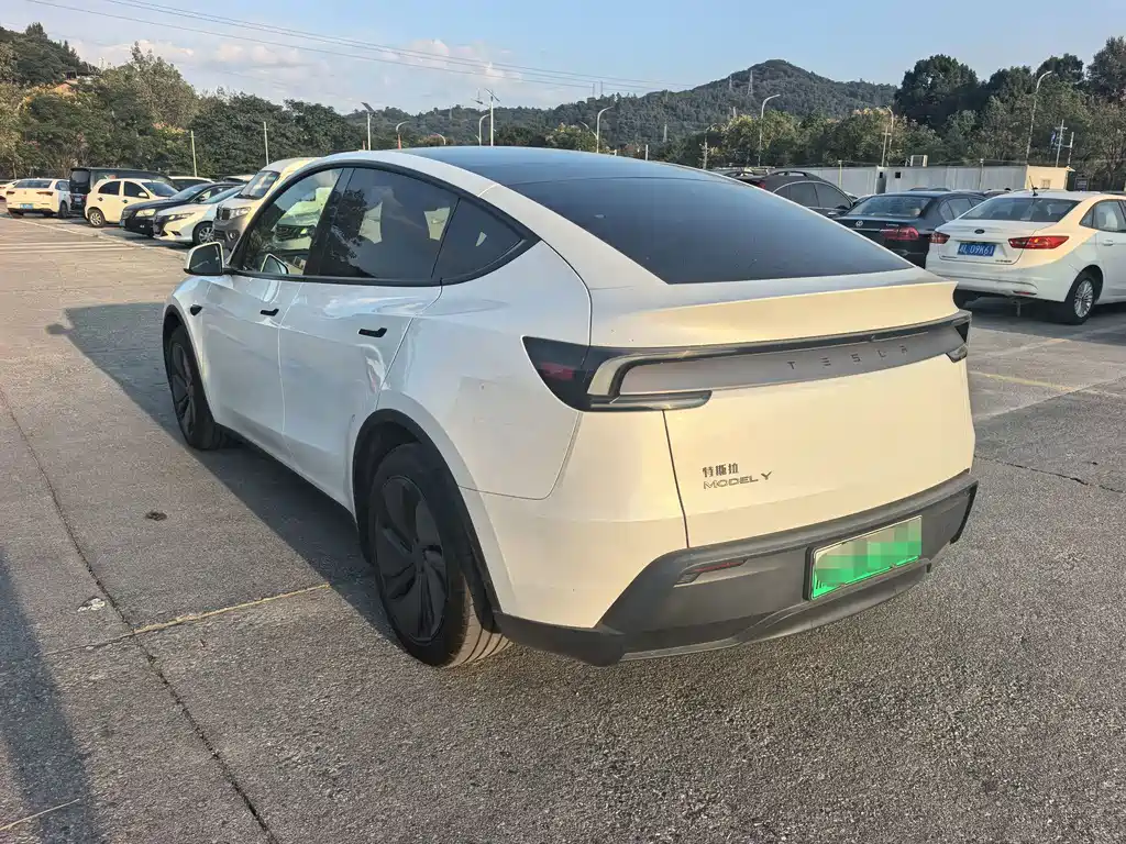 Tesla Model Y — миниатюра 9