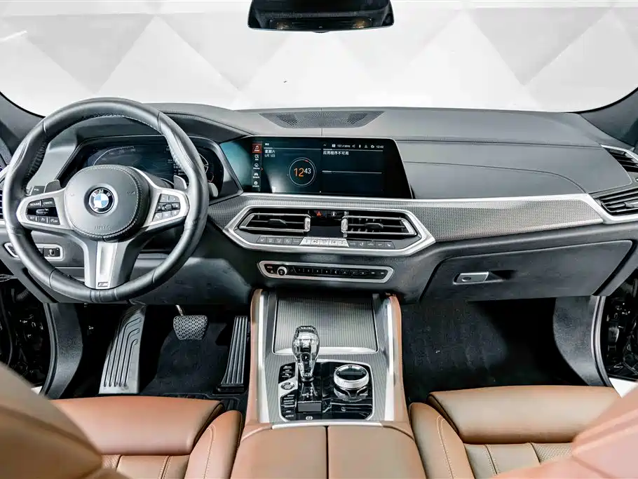 BMW X6 — миниатюра 12