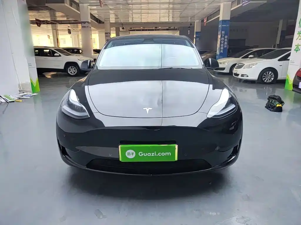 Tesla Model Y — миниатюра 3