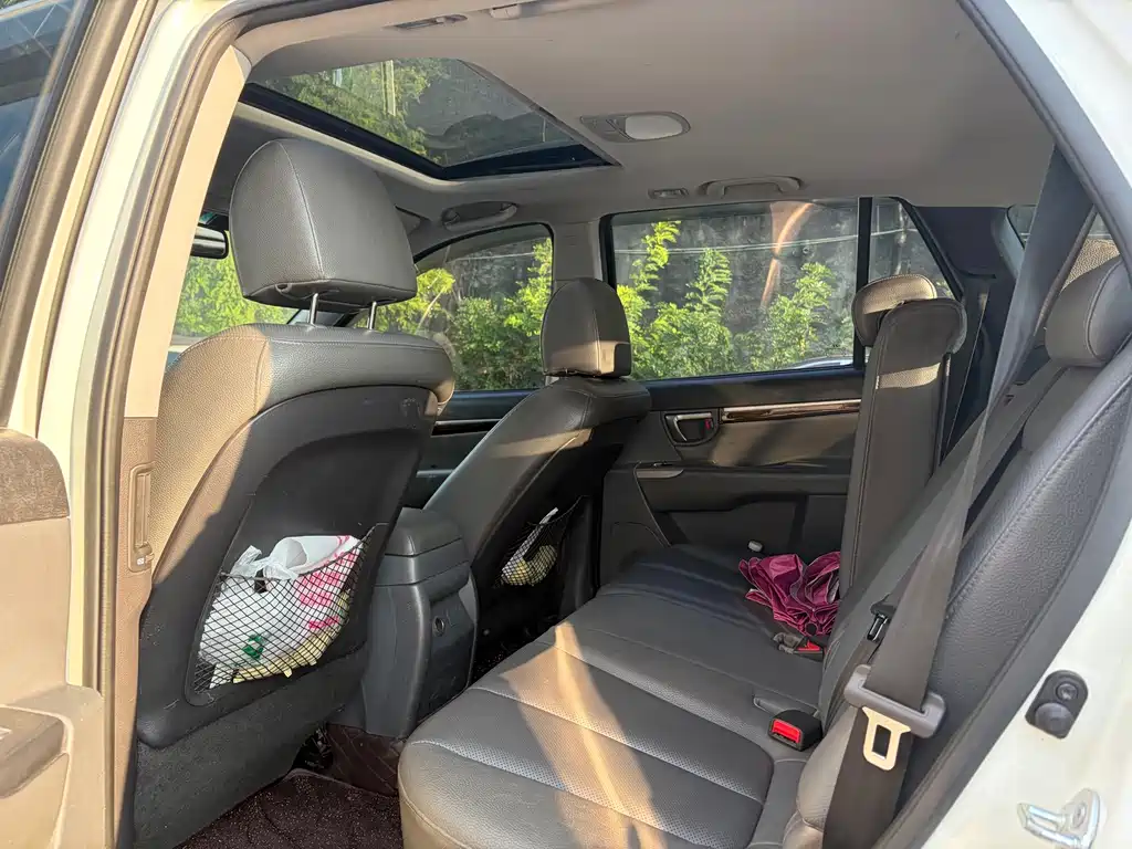 Hyundai Santa Fe (Import) — миниатюра 5