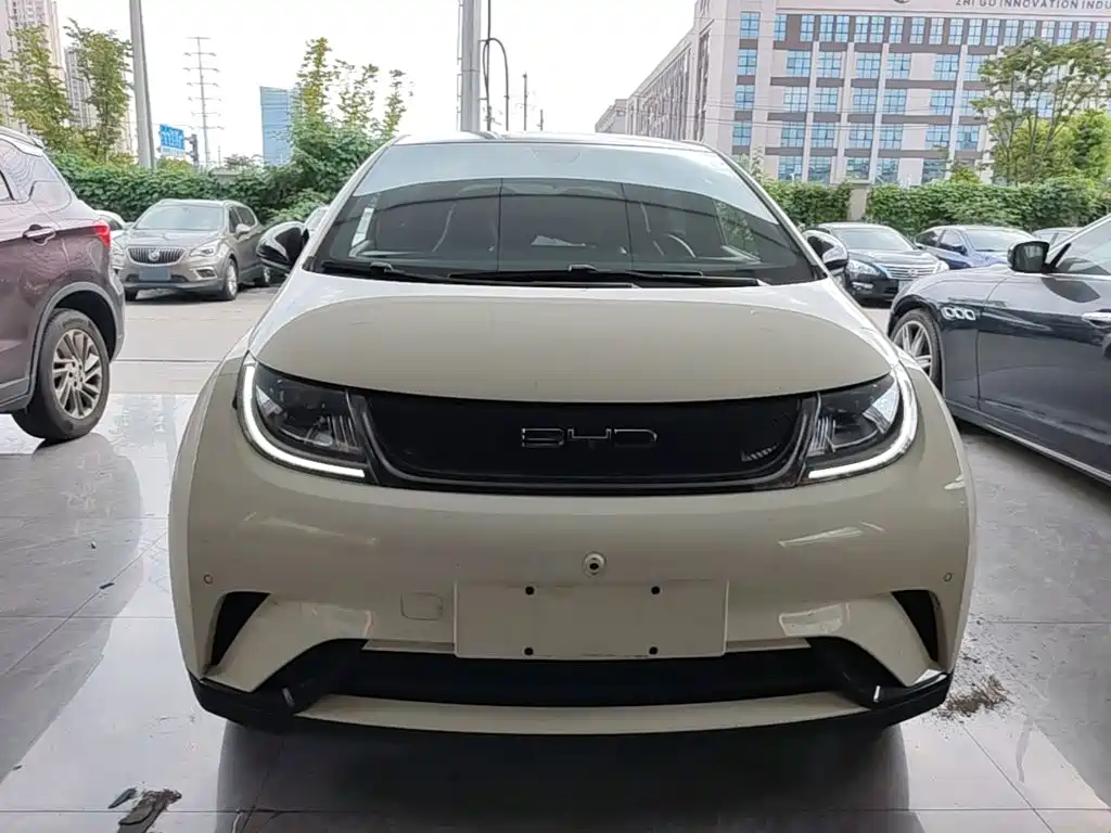 BYD Dolphin — миниатюра 3