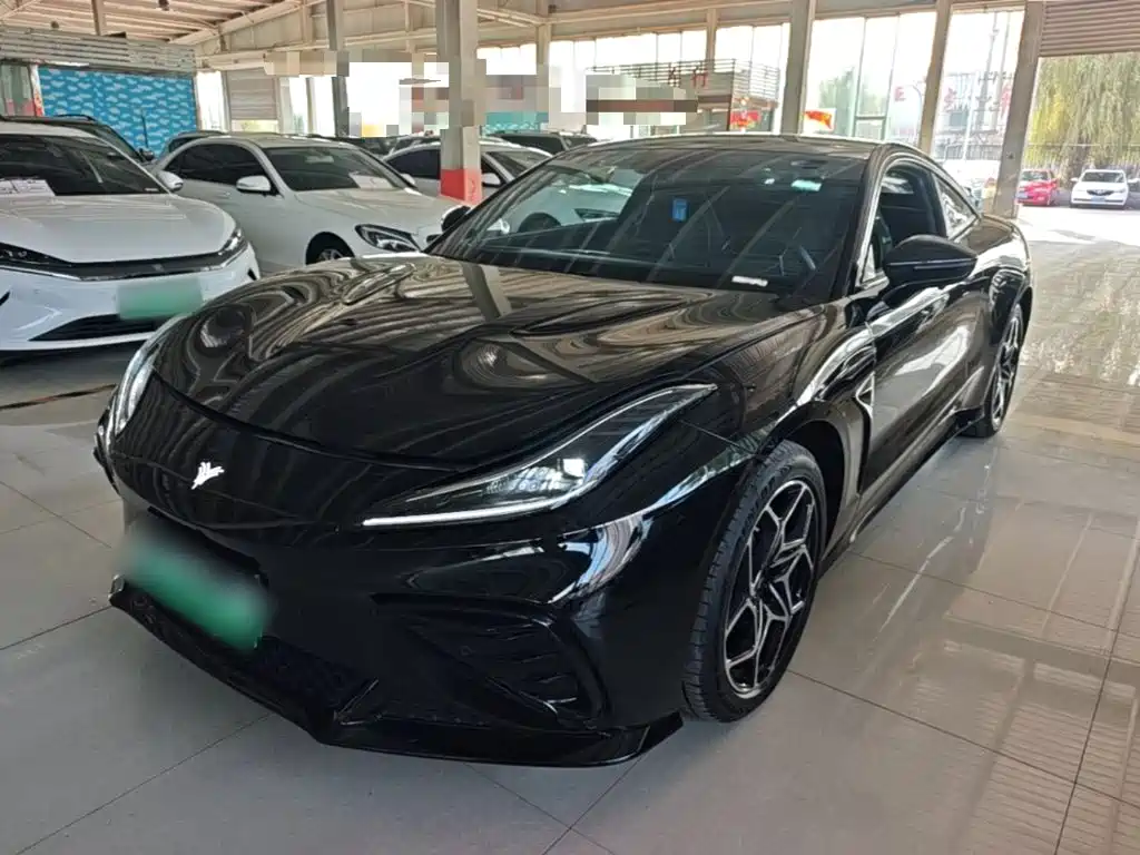 Neta Neta GT