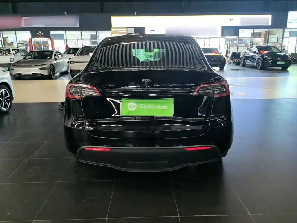 Tesla Model Y — миниатюра 6