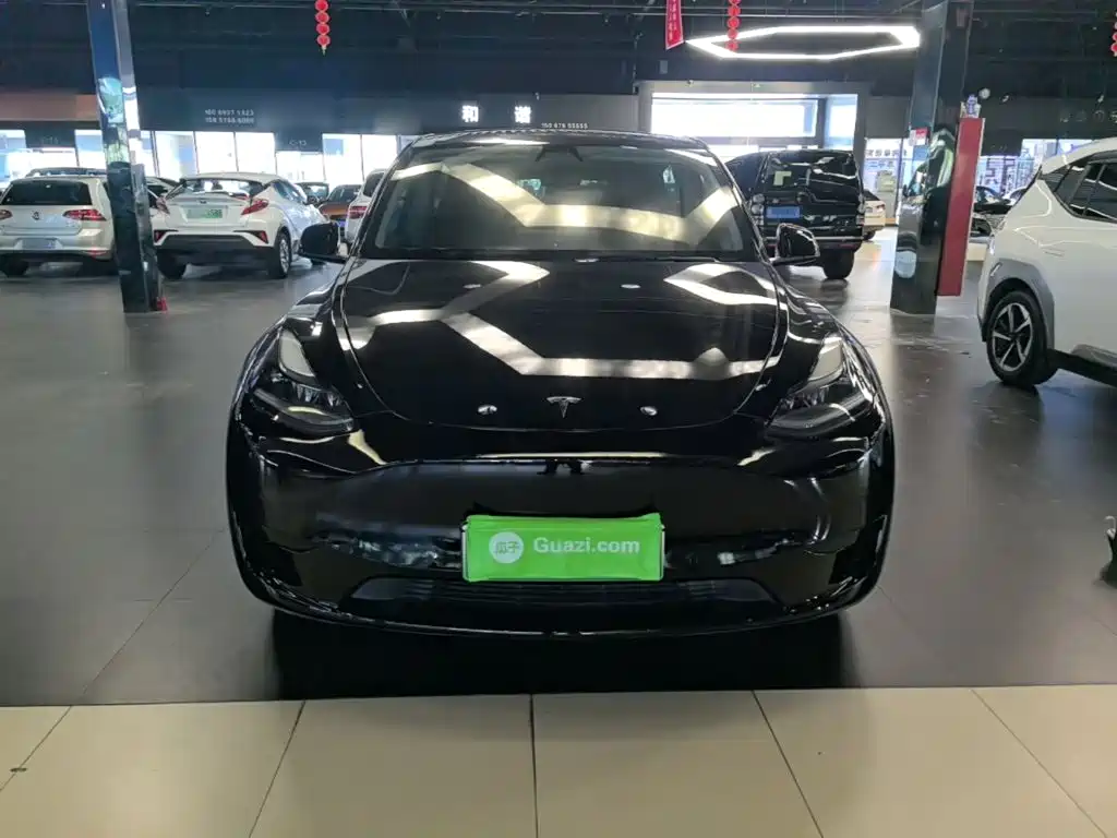Tesla Model Y — миниатюра 3