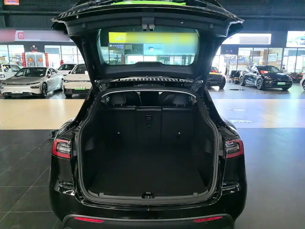 Tesla Model Y — миниатюра 19
