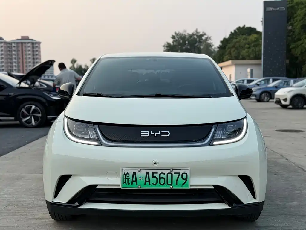 BYD Dolphin 2023 420km Freedom