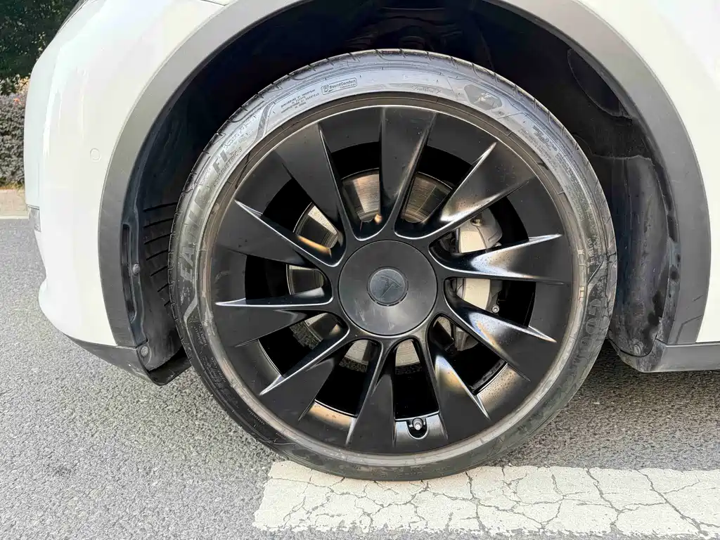 Tesla Model Y — миниатюра 4