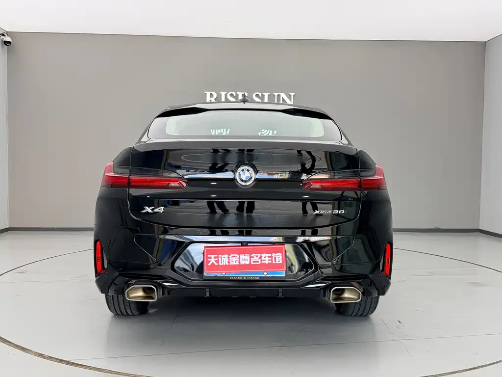 BMW X4 — миниатюра 7