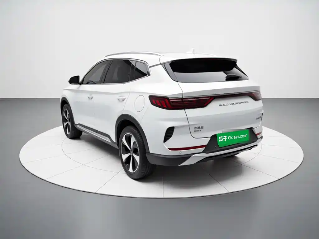 BYD PLUS New Energy — миниатюра 4