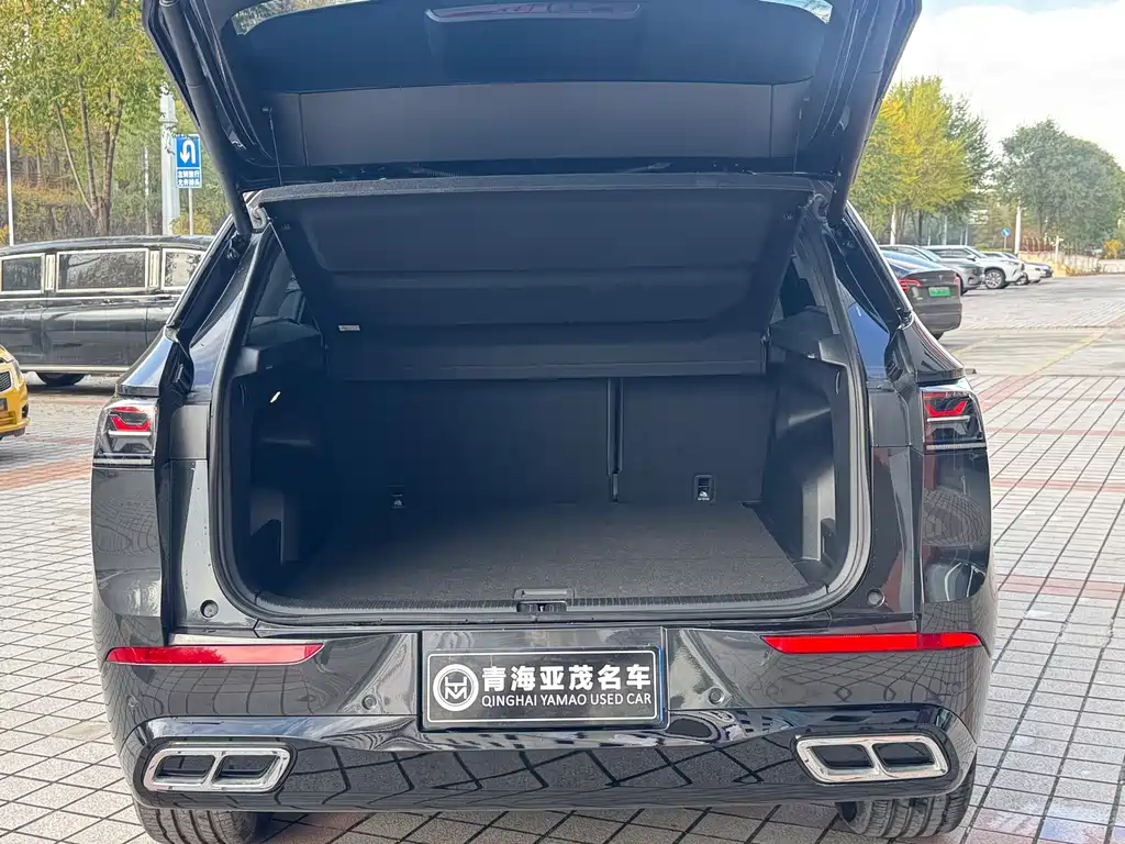 Volkswagen Tavendor — миниатюра 20