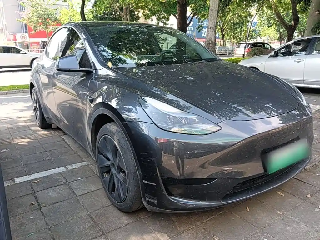 Tesla Model Y — миниатюра 4