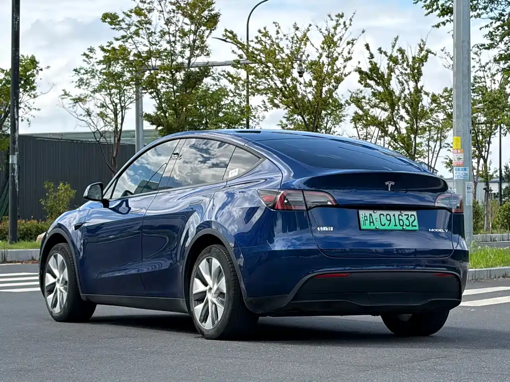 Tesla Model Y — миниатюра 4
