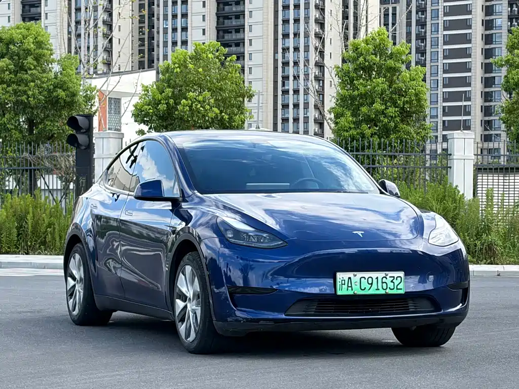Tesla Model Y — миниатюра 2