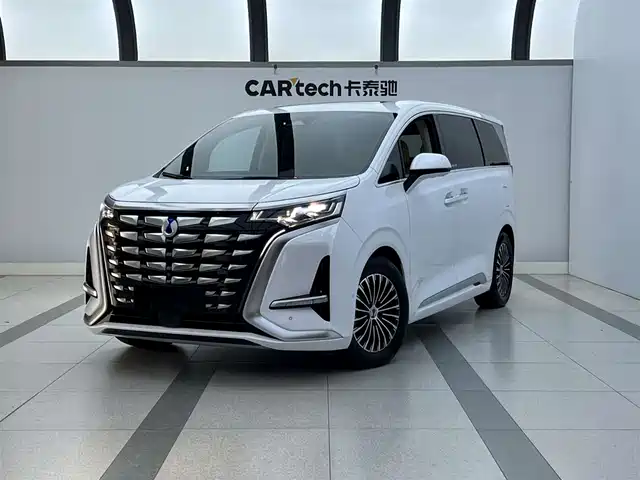 2024 Denza D9