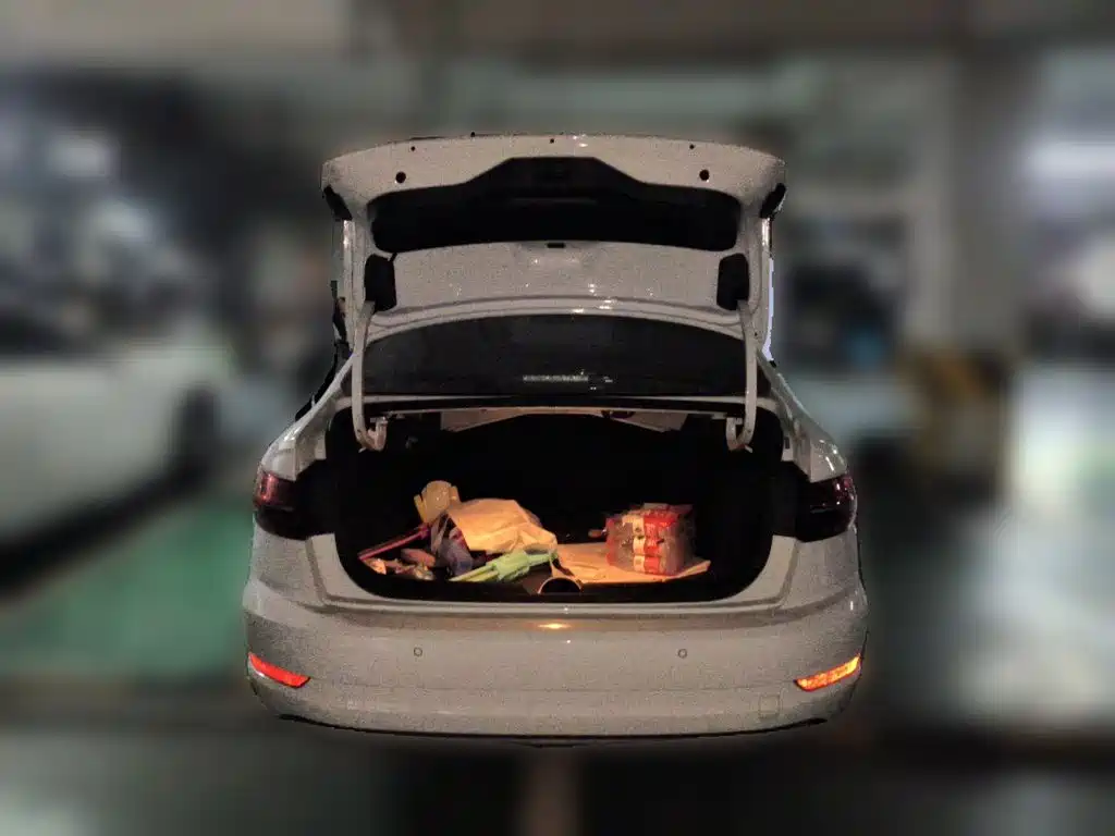 Volkswagen Sagitar — миниатюра 10